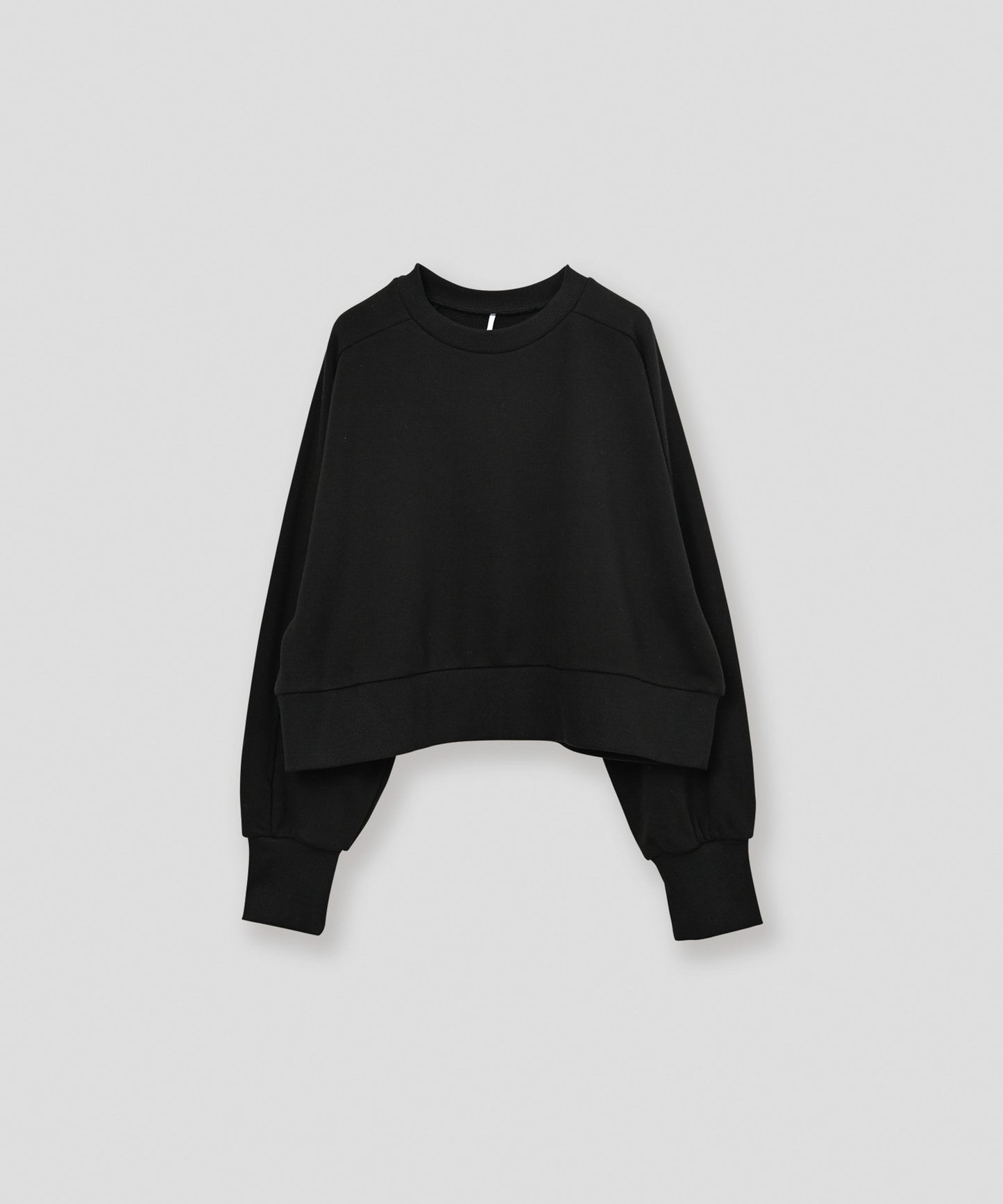 curve sleeve sweat / WHT26FCS4023
