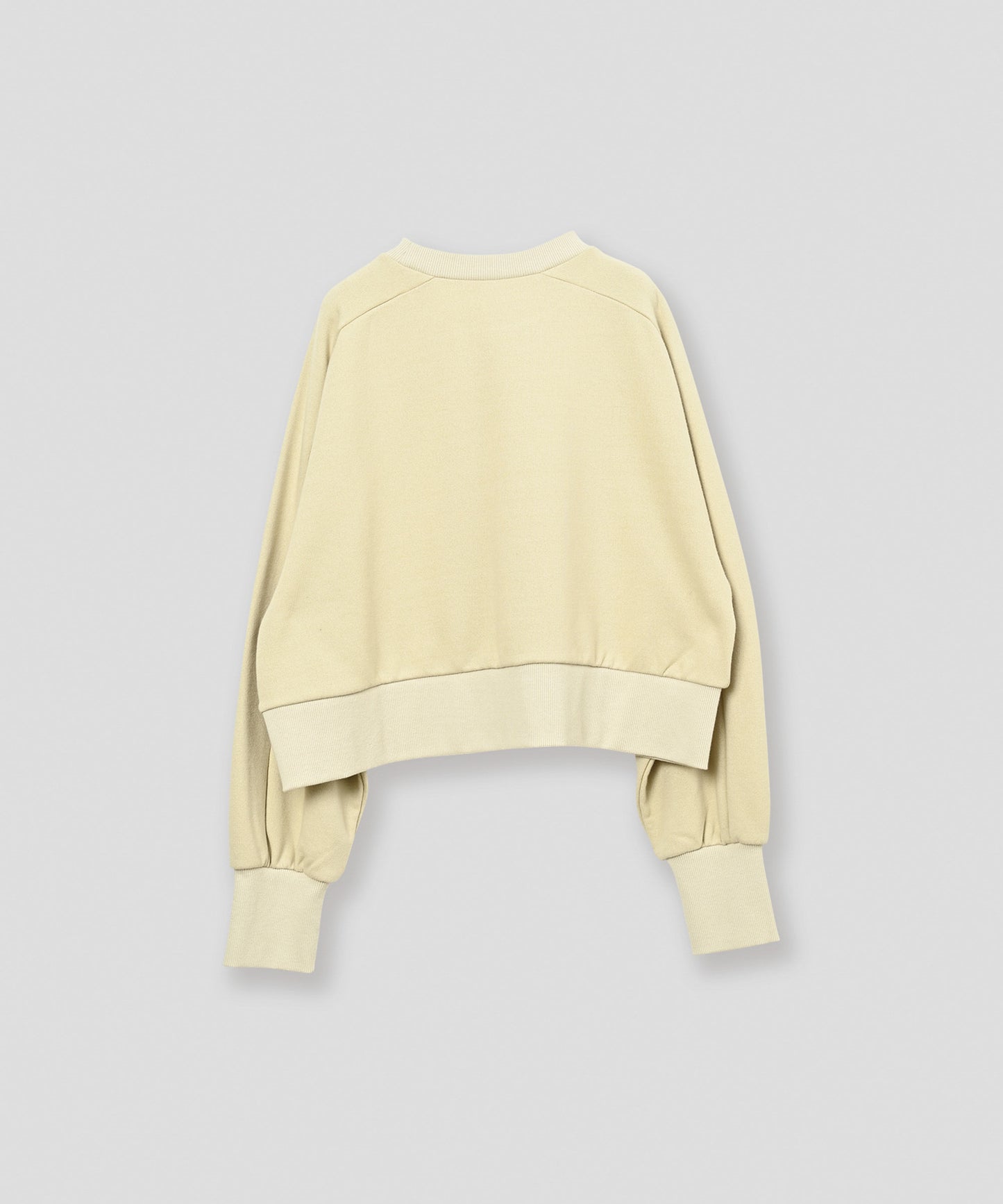 curve sleeve sweat / WHT26FCS4023