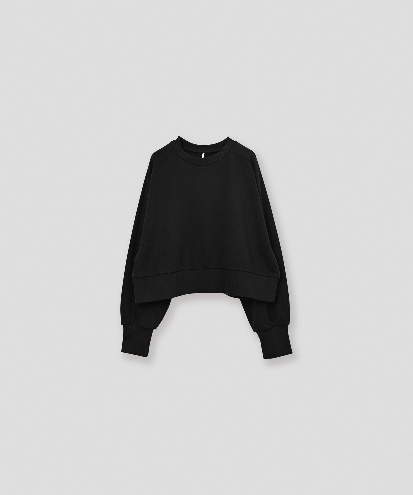curve sleeve sweat / WHT26FCS4023